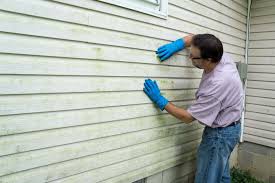 Best Vinyl Siding Installation  in Loveland, CO